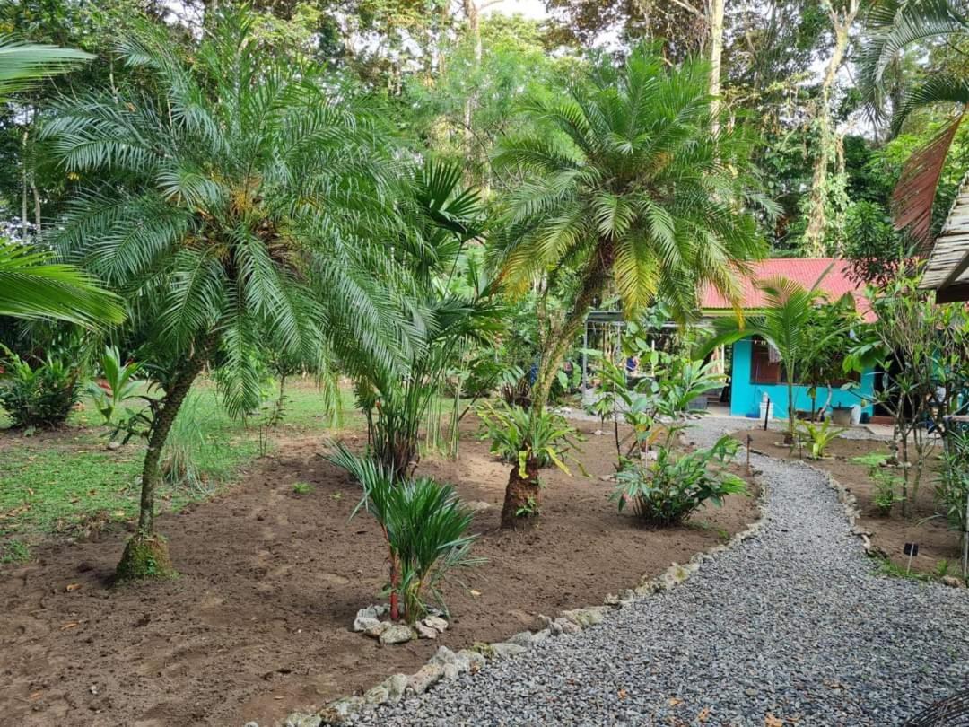 Mono Azul Cahuita Villa Exterior photo